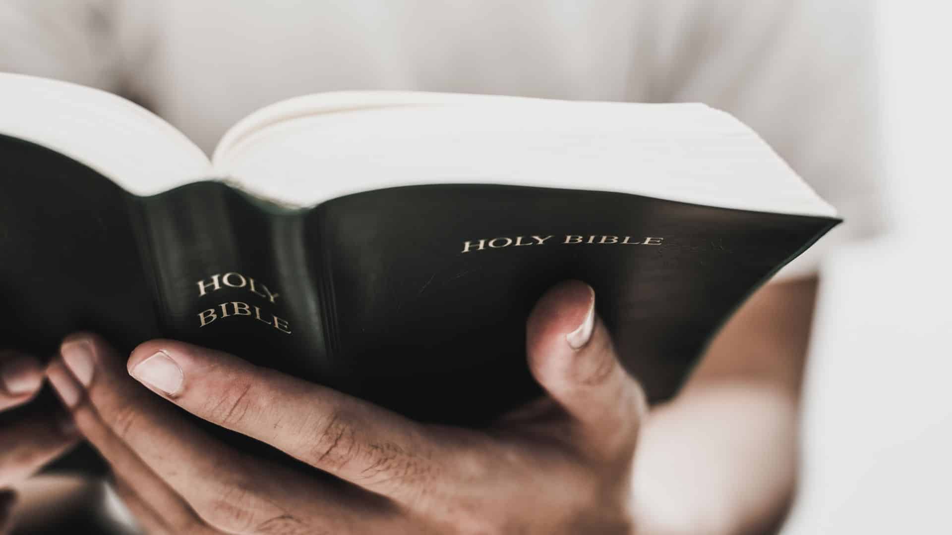 Bible in hands