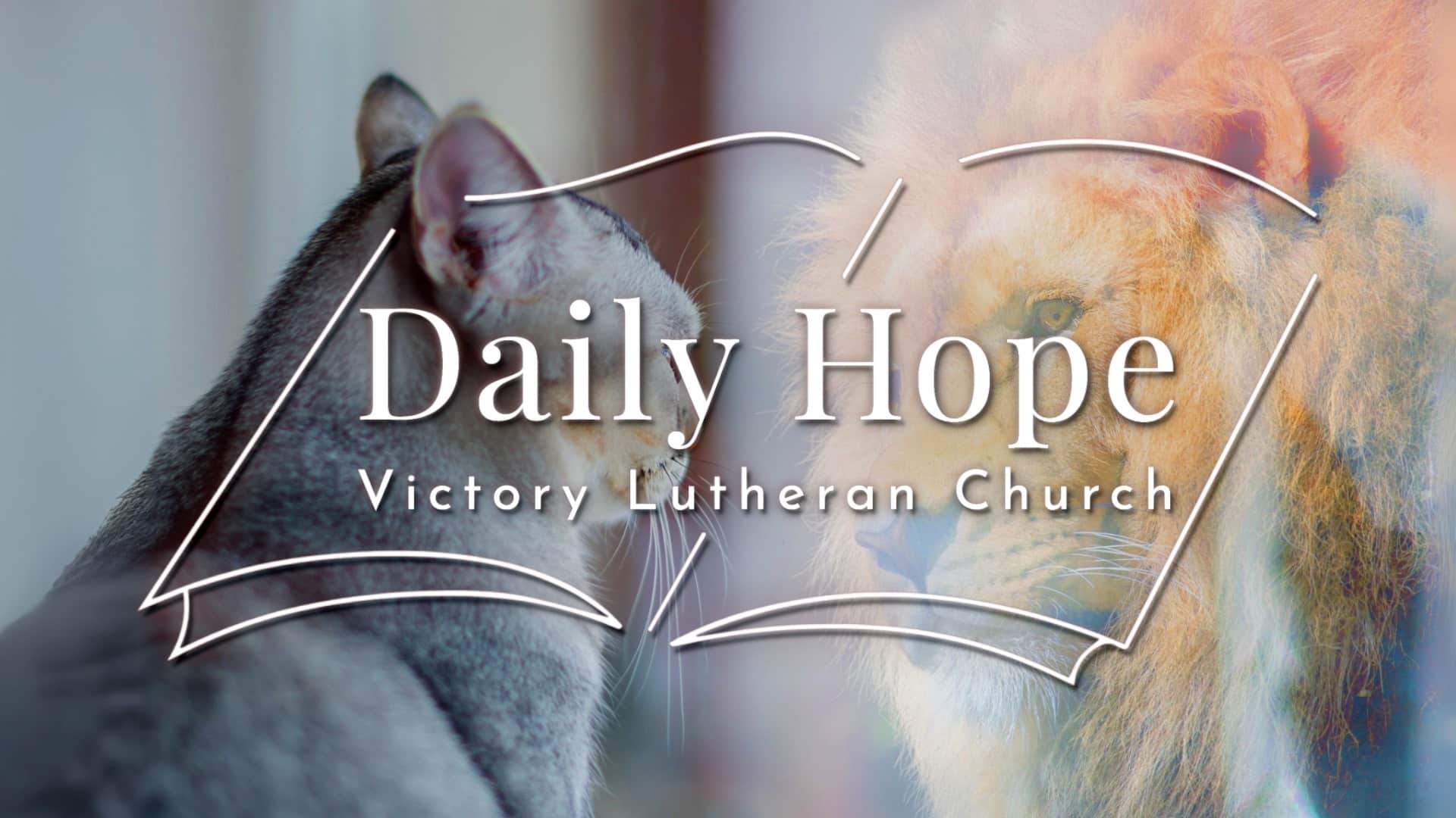 Daily Hope Jan 25