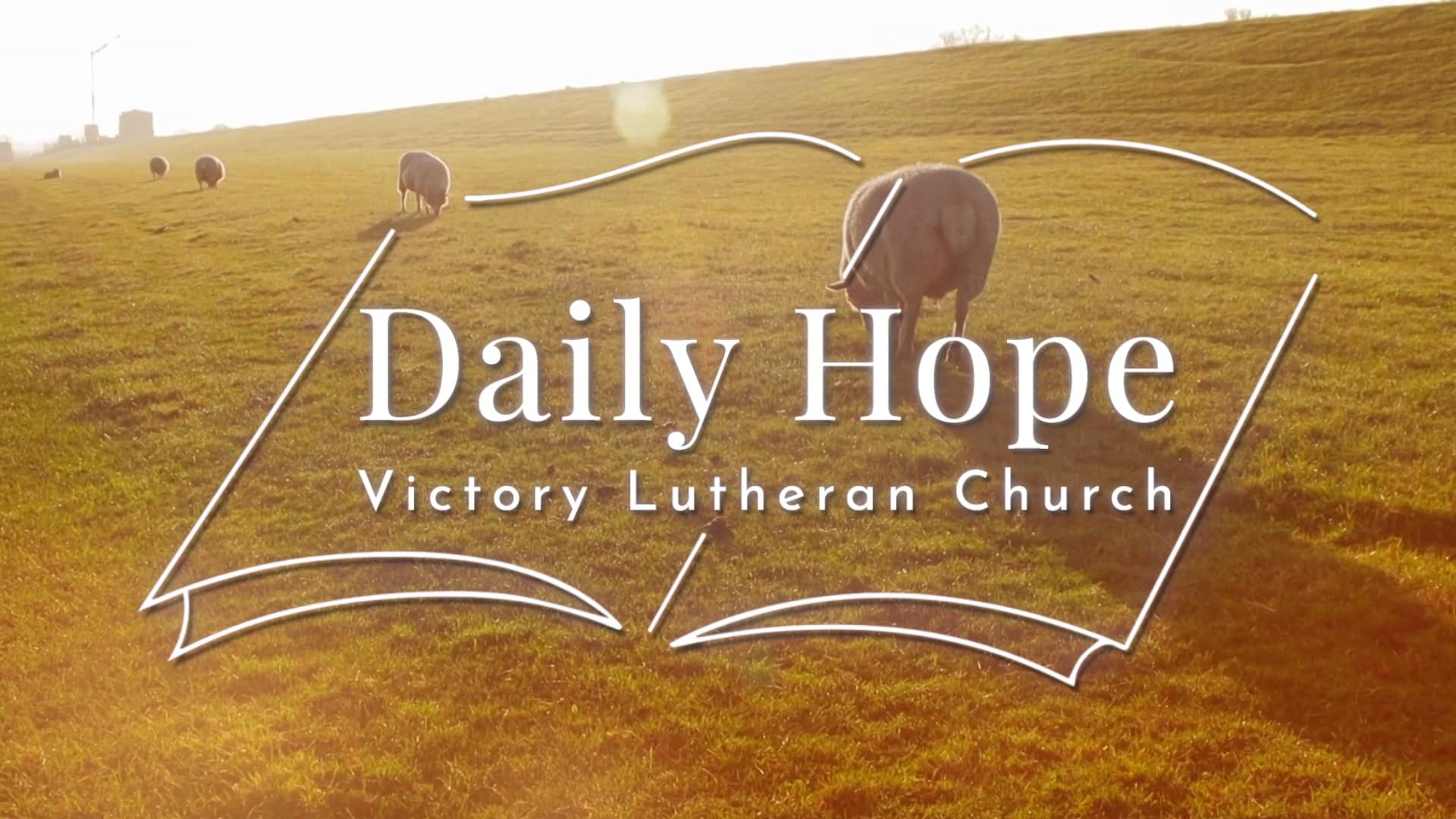 Daily Hope Feb 14