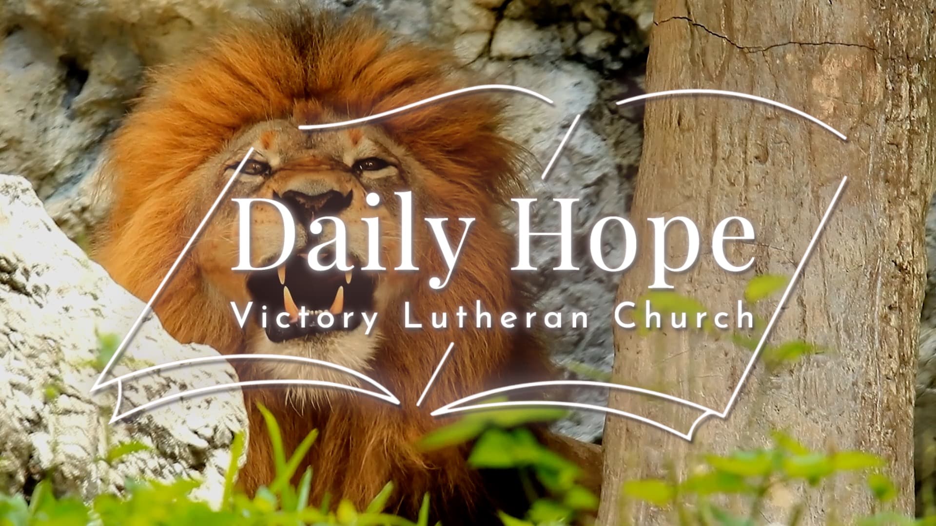 Daily Hope Apr 4