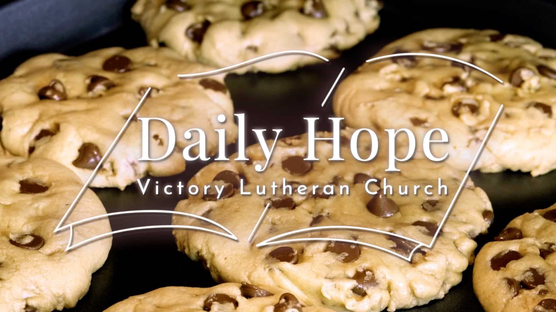 Daily Hope Aug 8