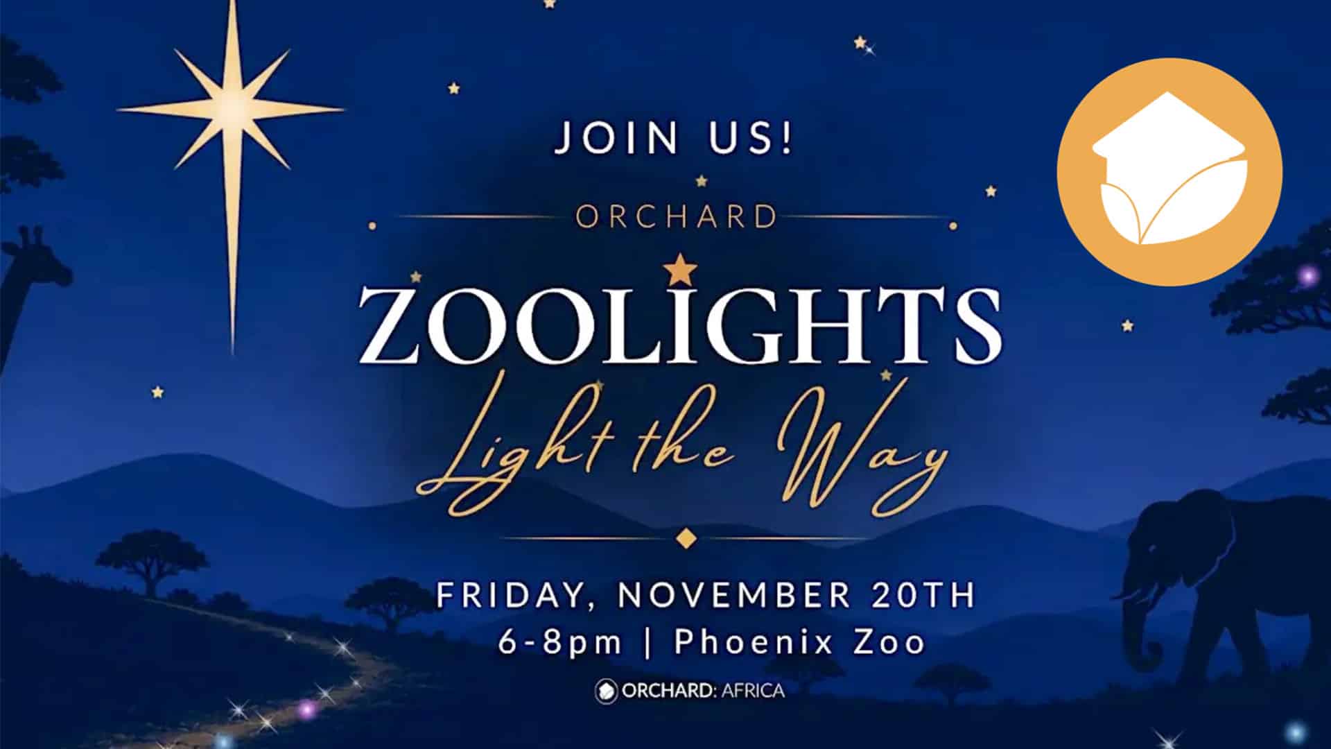 Zoolights slide